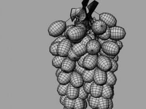 bunch of grapes Model 3D