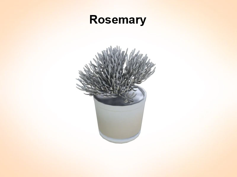 rosemaryn 3D Model .c4d .max .obj .3ds .fbx .stl .blend