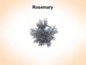 rosemaryn 3Dモデル