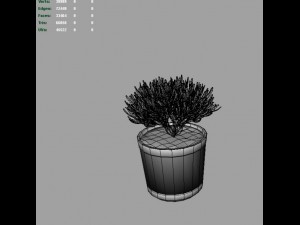 rosemaryn 3Dモデル