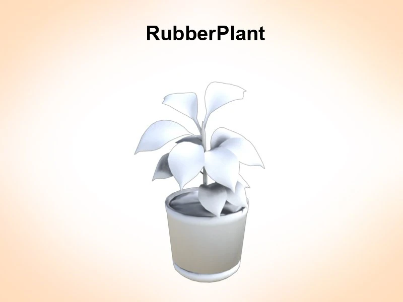 rubber plant 3D Model .c4d .max .obj .3ds .fbx .stl .blend 