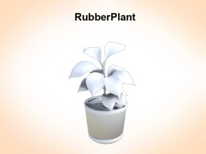 rubber plant Modelo 3D