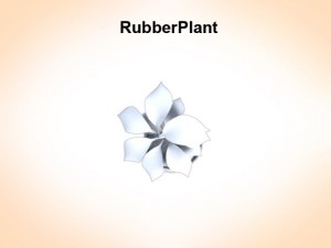 rubber plant 3D Model