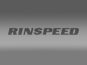rinspeed logo 3D Модель
