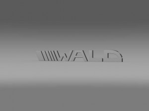 wald logo 3Dモデル