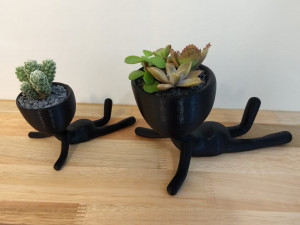 pose planter pack 1 Model Cetak 3D