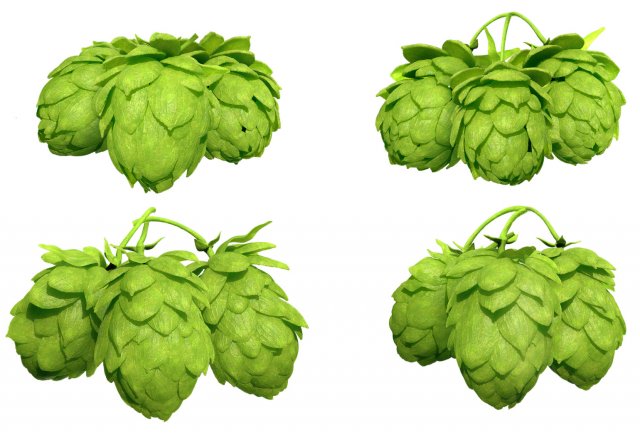hops Model 3D .c4d .max .obj .3ds .fbx .stl .blend 