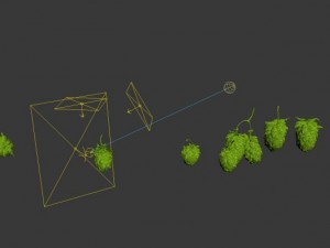 hops Model 3D