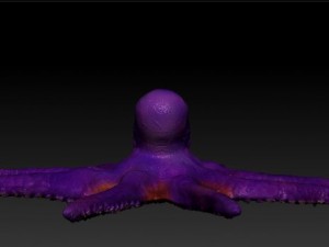 giant octopus Model 3D