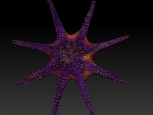 giant octopus Model 3D