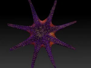 giant octopus 3D Model