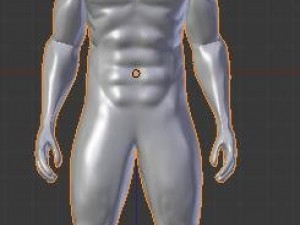 muscular male anatomical correct Model 3D