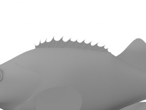rose fish 3D Model