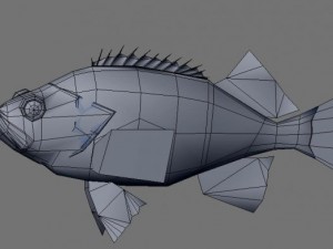 rose fish 3D Model