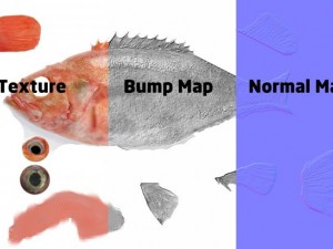 rose fish 3D Model