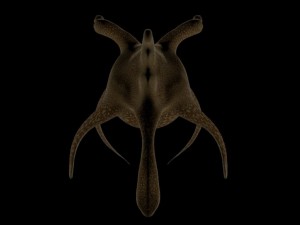 deep sea monster Modello 3D