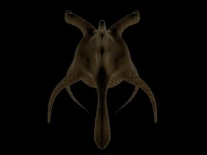 deep sea monster 3D Model