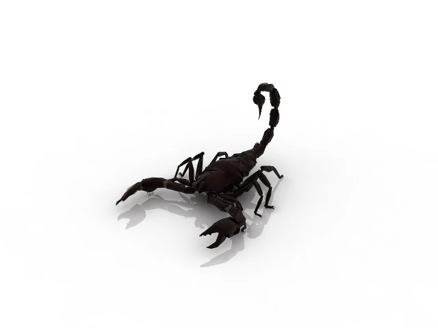 scorpio 3D Model .c4d .max .obj .3ds .fbx .stl .blend 
