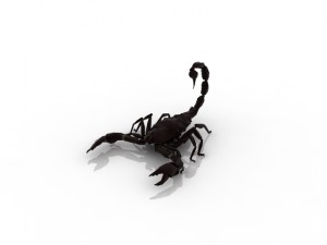scorpio 3D Модель