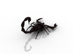scorpio 3D Model