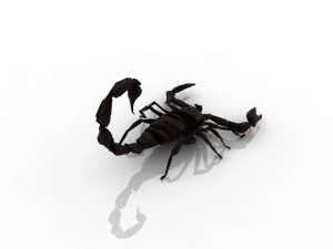 scorpio 3D Model