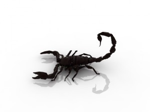 scorpio 3D Model