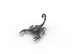 scorpio 3D Model