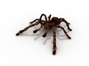 tarantula spider Modelo 3D