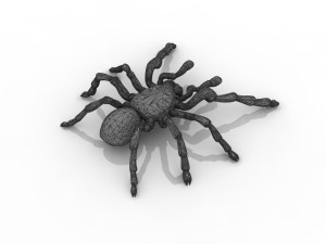 tarantula spider 3D मॉडल