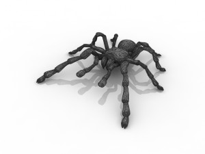 tarantula spider 3D मॉडल