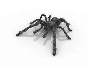 tarantula spider 3D Model
