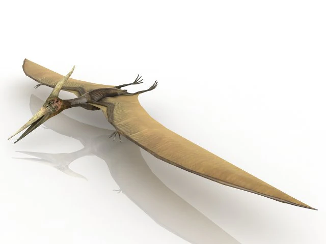 pterodactyl dinosaur 3D Model .c4d .max .obj .3ds .fbx .stl .blend 