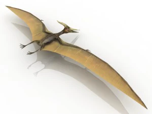 pterodactyl dinosaur 3D Model