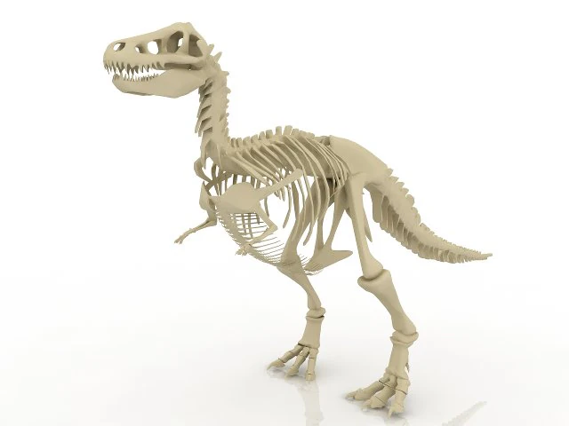 dinosaur skeleton 3D Model .c4d .max .obj .3ds .fbx .stl .blend