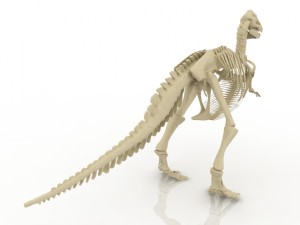 dinosaur skeleton Modelo 3D
