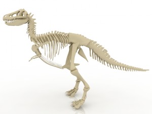 dinosaur skeleton Modelo 3D