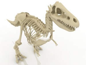 dinosaur skeleton Modelo 3D