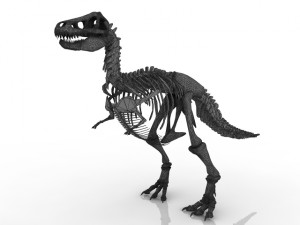 dinosaur skeleton Modelo 3D