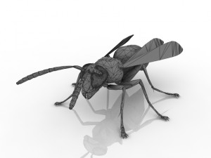 wasp Modèle 3D
