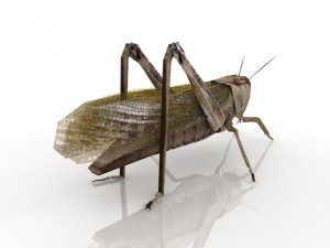 grasshopper 3D Model