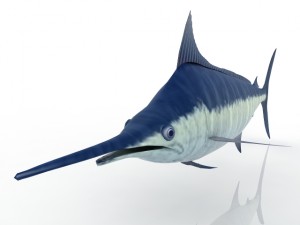 swordfish 3D-Modell