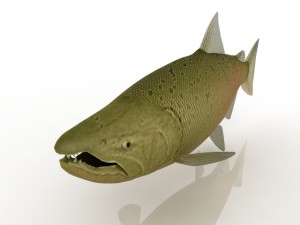 a fish Model 3D