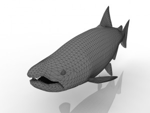 a fish Model 3D