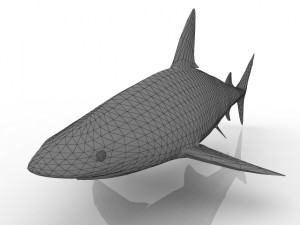 shark Model 3D