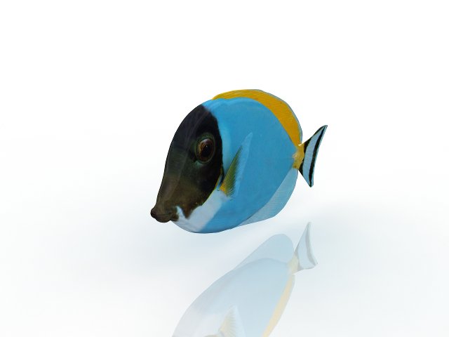 fish 3D Модель .c4d .max .obj .3ds .fbx .stl .blend 