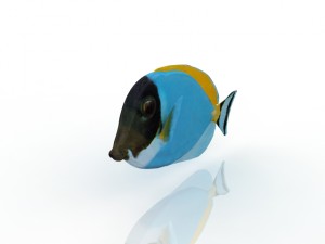 fish 3D Model