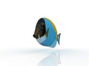 fish 3D Модель