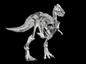 dinosaur skeleton 3D Model