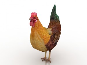cock Modelo 3D