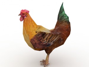 cock Modelo 3D